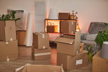 Yeni Apartmanda Kutu Yığını