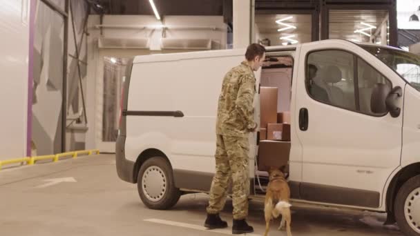 长长的白人男性安全专家带着服务犬搜索送货车 动物进入 嗅嗅箱子 — 图库视频影像