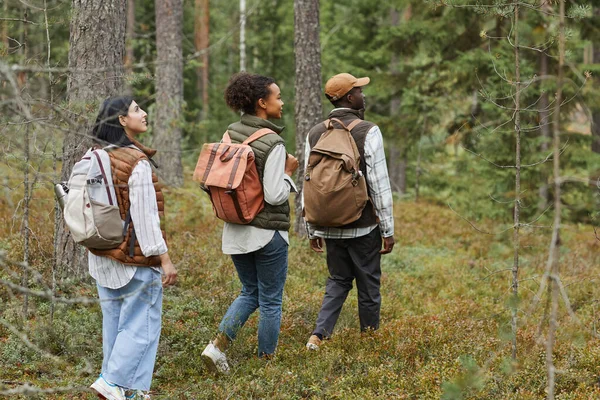 Amici escursioni nei boschi — Foto Stock