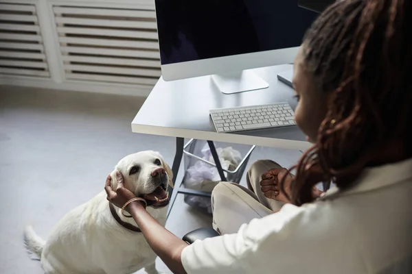 Afrikansk amerikansk kvinna Petting Dog i Office — Stockfoto