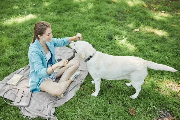 公园里与狗玩耍的女人 — 图库照片
