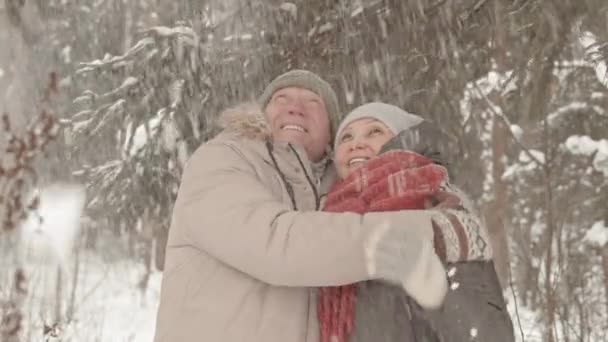 Lage Hoek Taille Van Diverse Gelukkige Oudere Paar Knuffelen Glimlachen — Stockvideo
