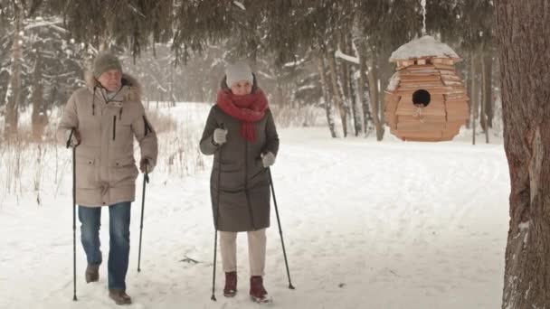 白雪の冬の公園を歩いている白人男性と幸せなアジア人女性のロックダウン ノルディックウォーキングのための極を使用して 木の上にぶら下がっている木製の鳥の家によって停止します — ストック動画
