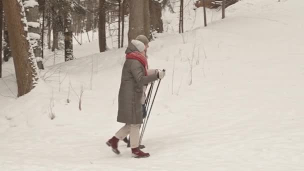 Широкий Вибір Старшого Кавказького Чоловіка Щасливої Азіатки Ходить Білому Сніжному — стокове відео
