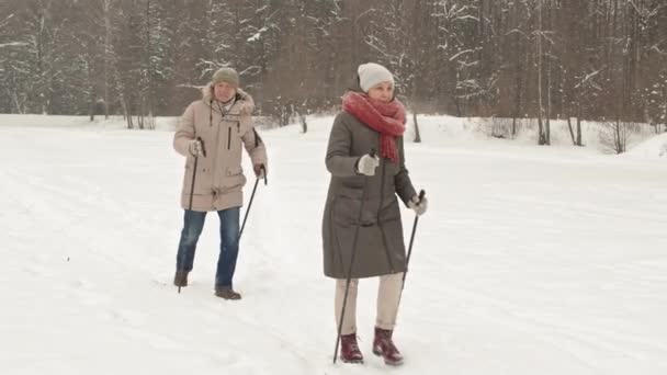Замкнені Щасливі Чоловіки Кавказу Жінки Азії Ходять Білому Сніговому Зимовому — стокове відео