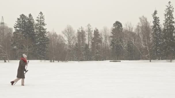 눈내리는 겨울날 속에서 나무를 건너는 부부가 노르딕걷기를 장대를 사용하는 눈앞에 — 비디오