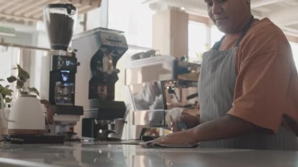 Inclinaison Jeune Femme Biracial Debout Derrière Comptoir Dans Café Pulvérisation — Video
