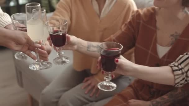 Wysoki Kąt Przycinania Wieloetnicznych Młodych Przyjaciół Brzęczących Kieliszkami Pijących Wino — Wideo stockowe