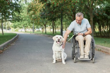 adam tekerlekli sandalye ile köpek