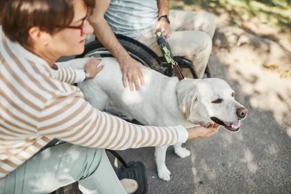 Pareja en Sillas de ruedas con Perro — Foto de Stock