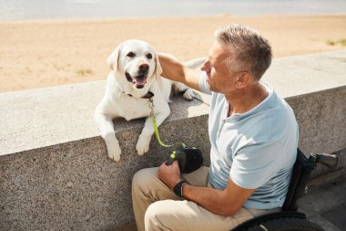 Tekerlekli sandalyedeki adam Gün ışığında yürüyen köpek.