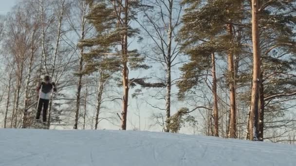 Låst Unga Kaukasiska Kvinna Bär Sportkläder Och Glasögon Längdskidåkning Skogen — Stockvideo