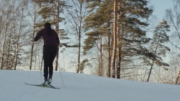 スポーツウェアやゴーグルを身に着けている若い白人女性選手の後部追跡 晴れた冬の日に森の中でクロスカントリースキー — ストック動画