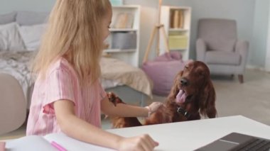 8 yaşındaki kızın ev ödevini rahat yatak odasında yaparken köpeğiyle oynaştığı belden aşağı vuruşlar.