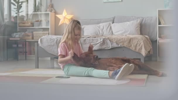 8岁女孩抱着可爱的爱尔兰赛狗玩耍 躺在漂亮卧室的地毯上的慢镜头 — 图库视频影像