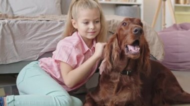 Tatlı küçük kızın tatlı İrlandalı köpeğini kucaklayıp sıcak yatak odasında, yatağın yanında uzandığı yavaş çekim.