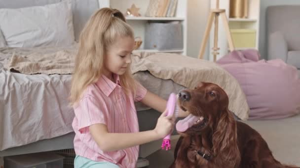 Slowmo Tiro Year Old Menina Pentear Cabelo Seu Cão Caçador — Vídeo de Stock