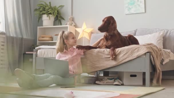 躺在舒适的卧室里 抱着笔记本电脑的漂亮姑娘抚摩着爱玩耍的爱尔兰赛狗的慢镜头 — 图库视频影像