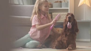 8 yaşındaki tatlı İrlandalı köpeğinin saçlarını tararken, saç bantlarını takarken, rahat kızların yatak odasında yerde yan yana otururken.