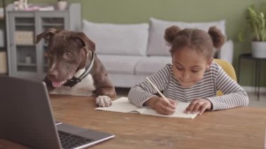 5 yaşındaki Afro-Amerikan bir kızın laptopun önünde oturup tatlı Amerikan bulldoguyla oturup kitap yazışının yavaş çekimleri.