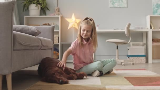 Slowmo Skott Årig Flicka Petting Och Smeka Hennes Irländska Setter — Stockvideo