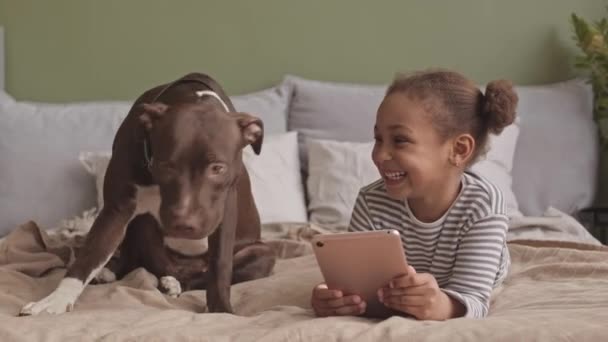 Handheld Shot Playful American Bulldog Licking Little Girls Face Resting — Stock Video
