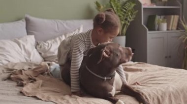 Sevimli Amerikan bulldog 'unu okşayan ve öpen 5 yaşındaki komik kızın rahat kızların yatak odasında oynaştığı yavaş çekim.