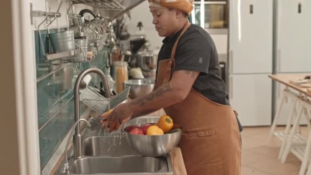 Středně Dlouhá Mladá Afroameričanka Zástěře Turbanu Stojící Kuchyňského Dřezu Myjící — Stock video