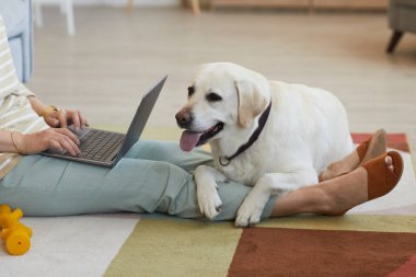 Sahibine Yatan Köpek