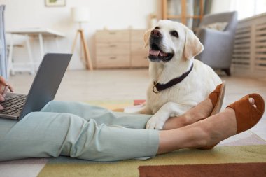 Köpek Sahibi ile Yerde Oturuyor