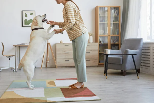 Mulher brincando com cão em casa — Fotografia de Stock