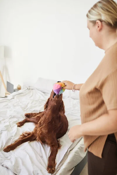 Kvinna spela boll med hund — Stockfoto