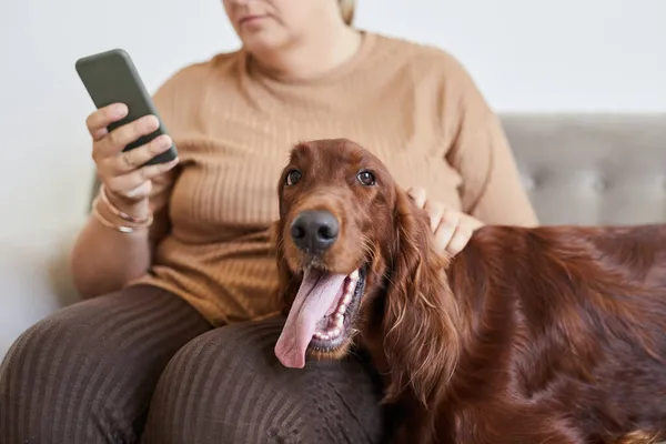 Happy Dog with Human — Stock Photo, Image