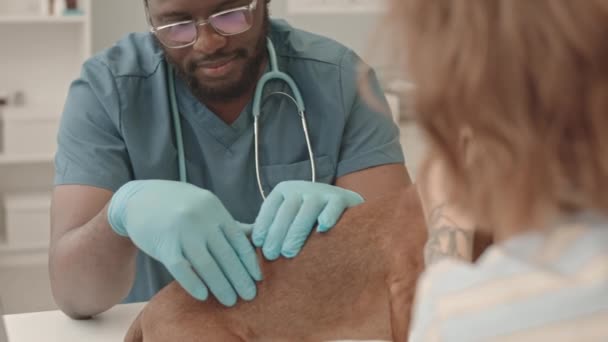 Mittlere Nahaufnahme Des Jungen Schwarzen Tierarztes Mit Handschuhen Der Die — Stockvideo