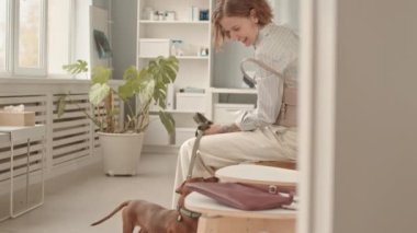 Veteriner kliniğinin koridorunda sandalyede oturan neşeli beyaz kadın, tatlı bir dachshund köpeğine bakıyor, besliyor ve onunla konuşuyor.
