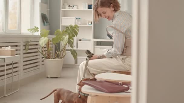 坐在兽医诊所走廊的椅子上 喂着可爱的腊肠犬 并与之交谈的白人妇女的侧面景象 — 图库视频影像