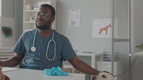 年轻的黑人男性兽医头戴刷子和眼镜 坐在诊所的办公桌前 爱抚着白拉布拉多犬 与收割过的女主人交谈 — 图库视频影像