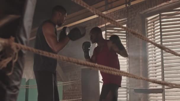 两名戴着拳击手套和护垫的强壮黑人男子在拳击场练拳时抛出铅球 — 图库视频影像