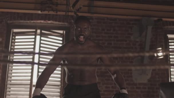 戦う前にリングの上に立ってカメラを見て叫んでいるボクシング手袋で愚かな筋肉アフリカ系アメリカ人男性ボクサーの遅い肖像画 — ストック動画