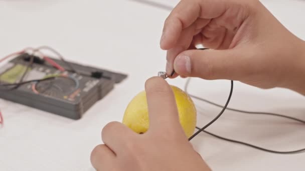 Close Hands Child Connecting Wire Bolt Stuck Lemon School Physics — Stock Video