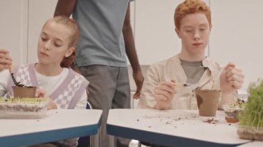 Kırpılmış öğretmenlerin arkalarında yürüme ve okuldaki çok ırklı ortaokul öğrencilerinin sıralarında oturup fideleri nakletmelerini izleme hakkı.