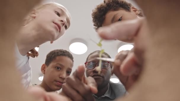 Vista Ángulo Bajo Desde Interior Maceta Diversos Estudiantes Secundaria Viendo — Vídeo de stock