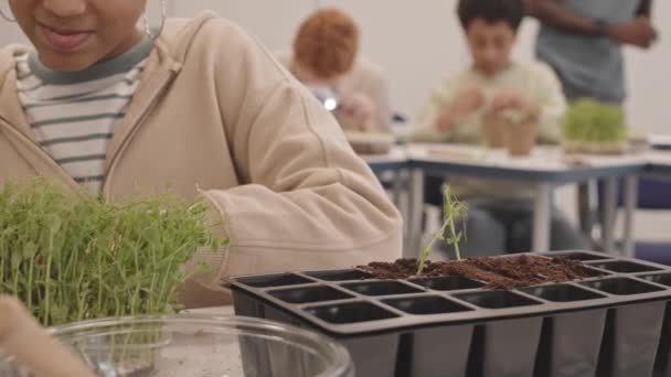 切り取られた黒い女の子の低い角度植物のクラスの机に座って 苗を鉢に移植し 土壌に肥料を滴下 — ストック動画