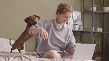 Ağır çekimde, laptopta film izlerken yatakta enerjik dachshund köpeğiyle oynayan gri tişörtlü, neşeli beyaz kadın hafta sonunu evde geçiriyor.