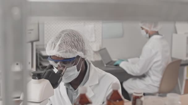 Прибиваючи Молодого Афроамериканця Окулярах Використовуючи Мікроскоп Сидячи Столом Дослідницькому Центрі — стокове відео