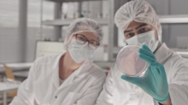 Bulanık beyaz kadın ve erkek, çift ırklı tıbbi araştırmacılar laboratuarda oturmuş Petri kabındaki biyolojik materyallere bakıyor ve konuşuyorlar.