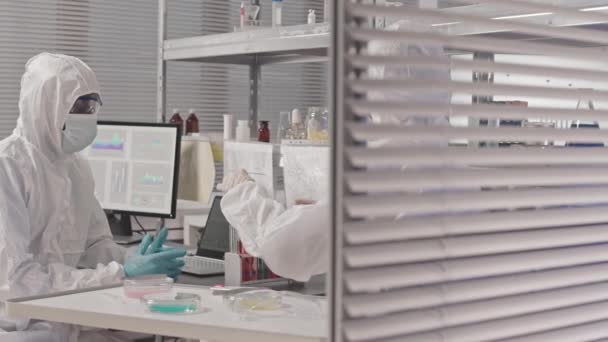 Nalevo Bělošky Vědkyně Bílých Kombinézách Brýlích Masce Sedí Laboratoři Třídí — Stock video
