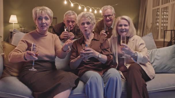 Pov Slowmo Shot Van Vrolijke Senioren Met Wijn Champagne Glazen — Stockvideo