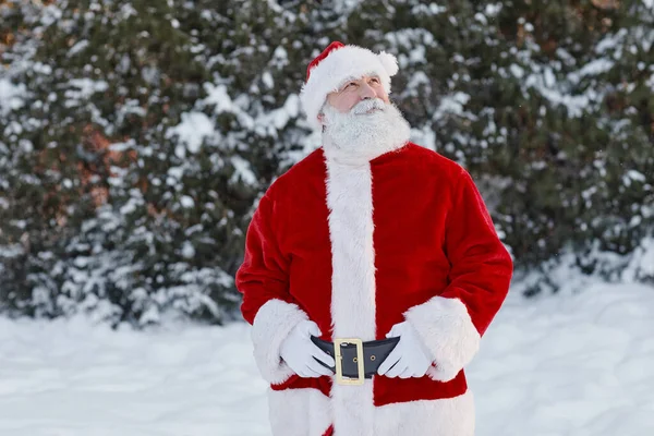 Santa w parku zimowym — Zdjęcie stockowe