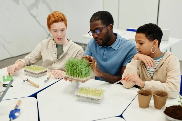 Experimentos de Biología en la Escuela — Foto de Stock